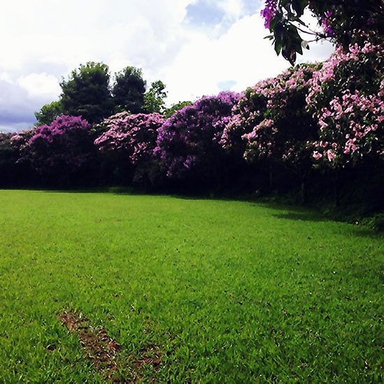 Residência Santa Cruz